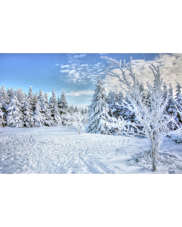 Alles wat je nodig hebt voor de perfecte winter BBQ